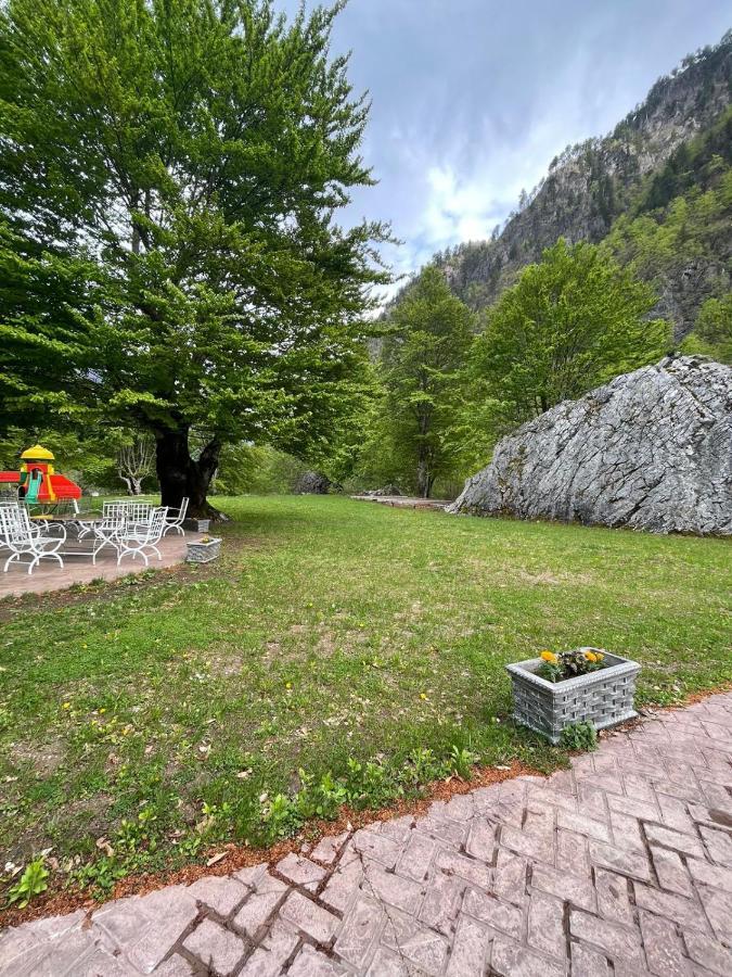 Bujtina Rilindja Guest House Valbone Eksteriør billede